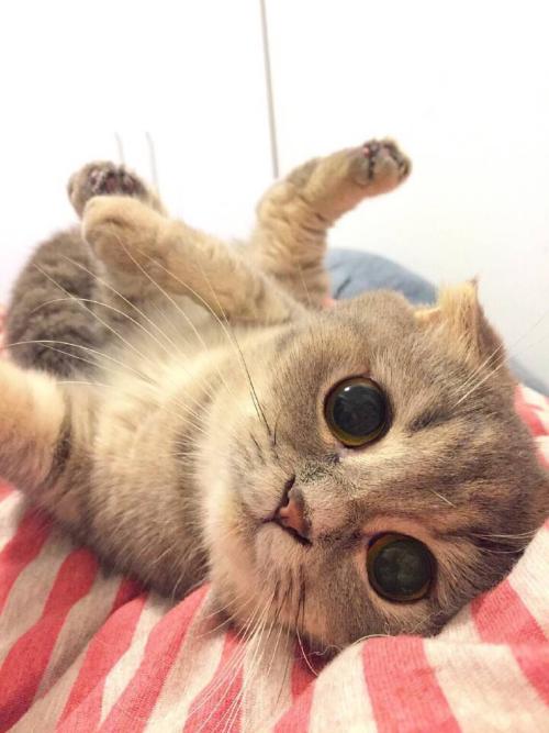 ÉúÒâʧ°Üծ̨¸ßÖþ£¬ÄÐ×Ó¾¹»¹´òÉÍÖ÷²¥50¶àÍòÔª