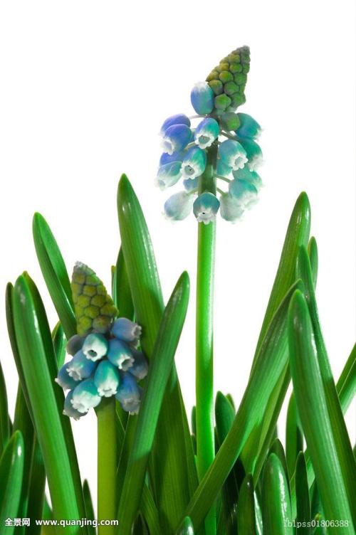 ½ñ¶¬ÖйúÆøÎ½ϳ£ÄêÆ«µÍ È«Çò±äůorÈ«Çò±äÀ䣿