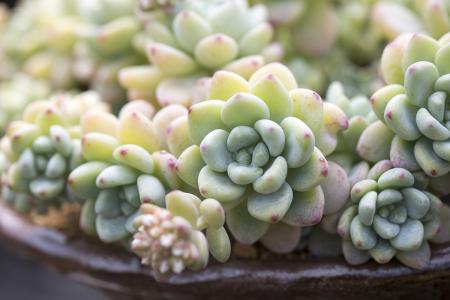 Õ㽺¼ÖÝÐÂÔö1ÀýÎÞÖ¢×´¸ÐȾÕß Ïµ°²±£¹«Ë¾Ô±¹¤