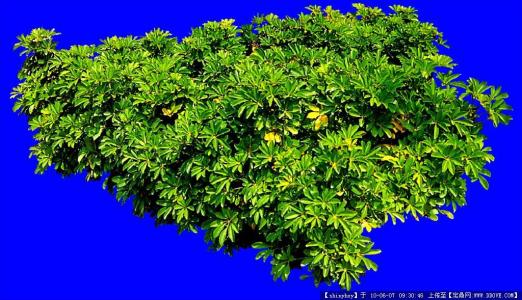 ÒÁÀʽ«ÉæÏÓ°µÉ±ËÕÀ³ÂüÄáµÄÃÀ¹úÈËÃûµ¥ÔöÖÁ48ÈË