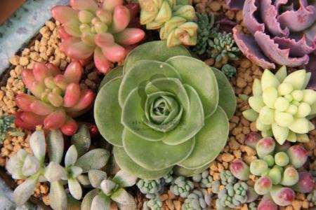 µçÓ°¡¶731¡·ÉÏÓ³19ÌìÆ±·¿ÆÆ18ÒÚÔª